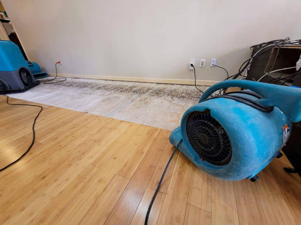 Professional Structural Drying technician working in Georgetown, TN